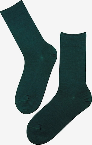 Sokisahtel - Calcetines 'HANS merino socks for men' en verde: frente