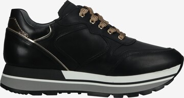 Nero Giardini Sneakers in Black