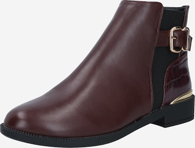 Dorothy Perkins Poolsaabas 'MILA JODPHUR' tumepruun / Kuld / must, Tootevaade