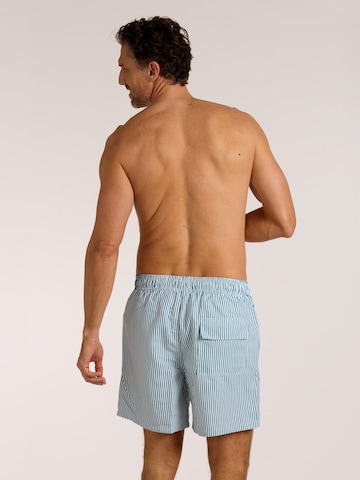 wavebreaker Board Shorts in Green