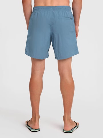 O'NEILL Ujumispüksid 'Vert', värv sinine