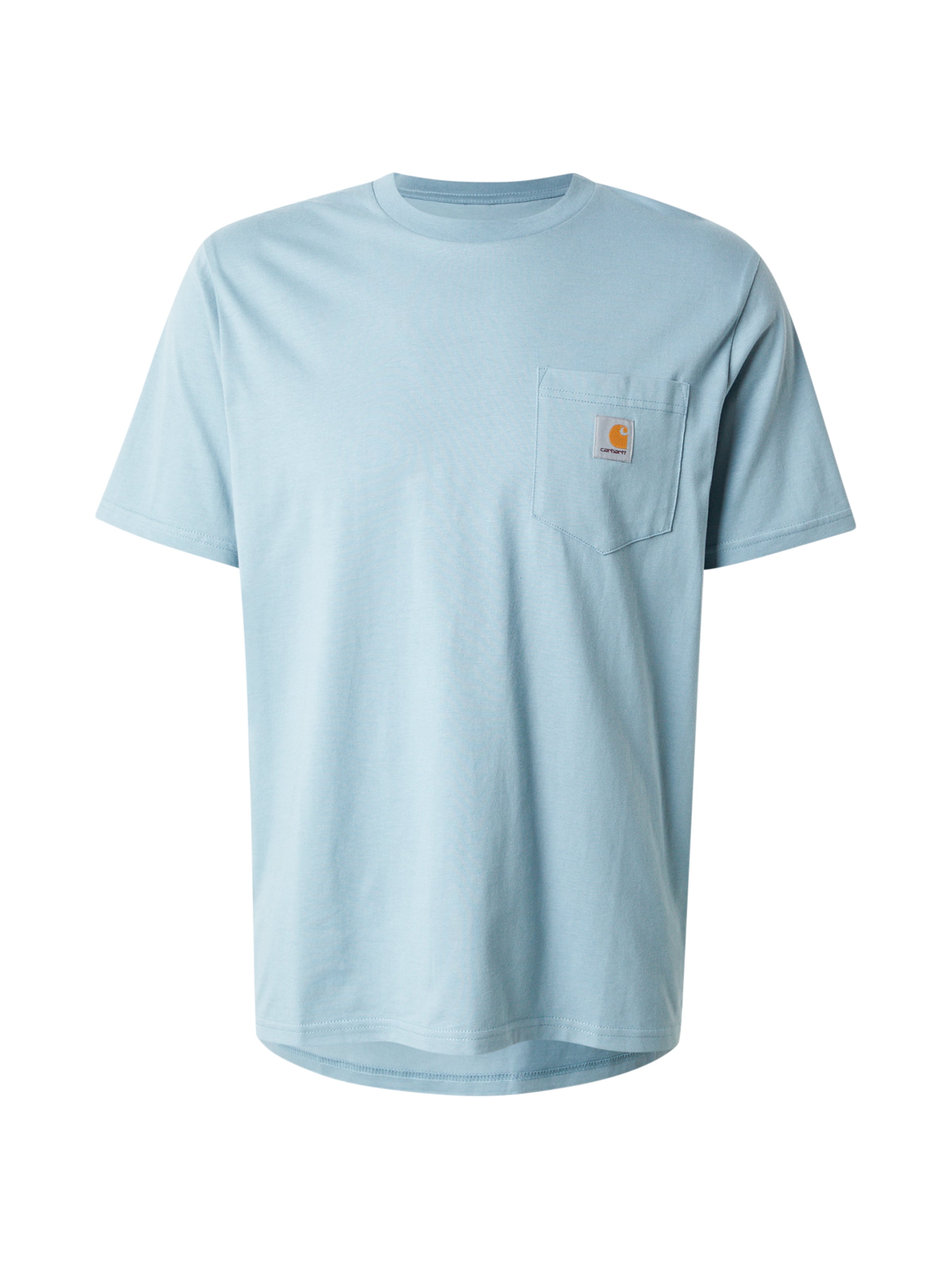 Carhartt WIP Shirt in Blue: front