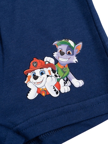Paw Patrol Underpants in Mixed colours