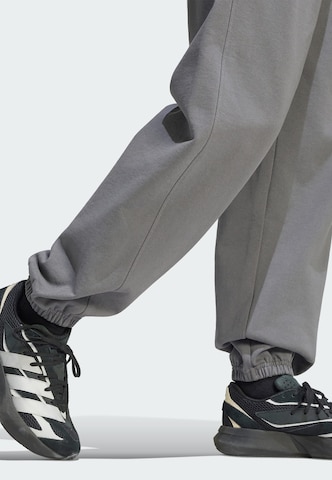 ADIDAS SPORTSWEAR - Tapered Calças de desporto em cinzento
