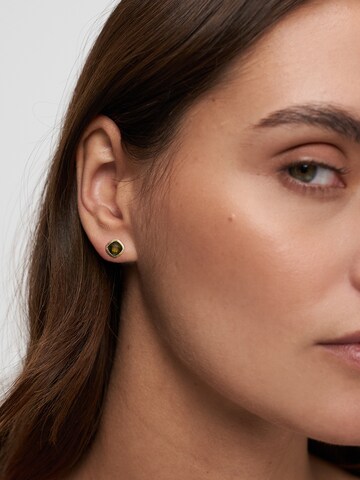 Tamaris Ohrringe in Gold: Vorderseite
