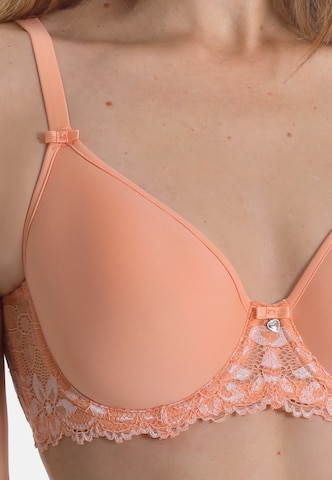 sassa Bra in Orange