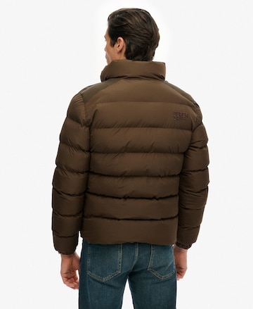 Veste mi-saison Superdry en marron