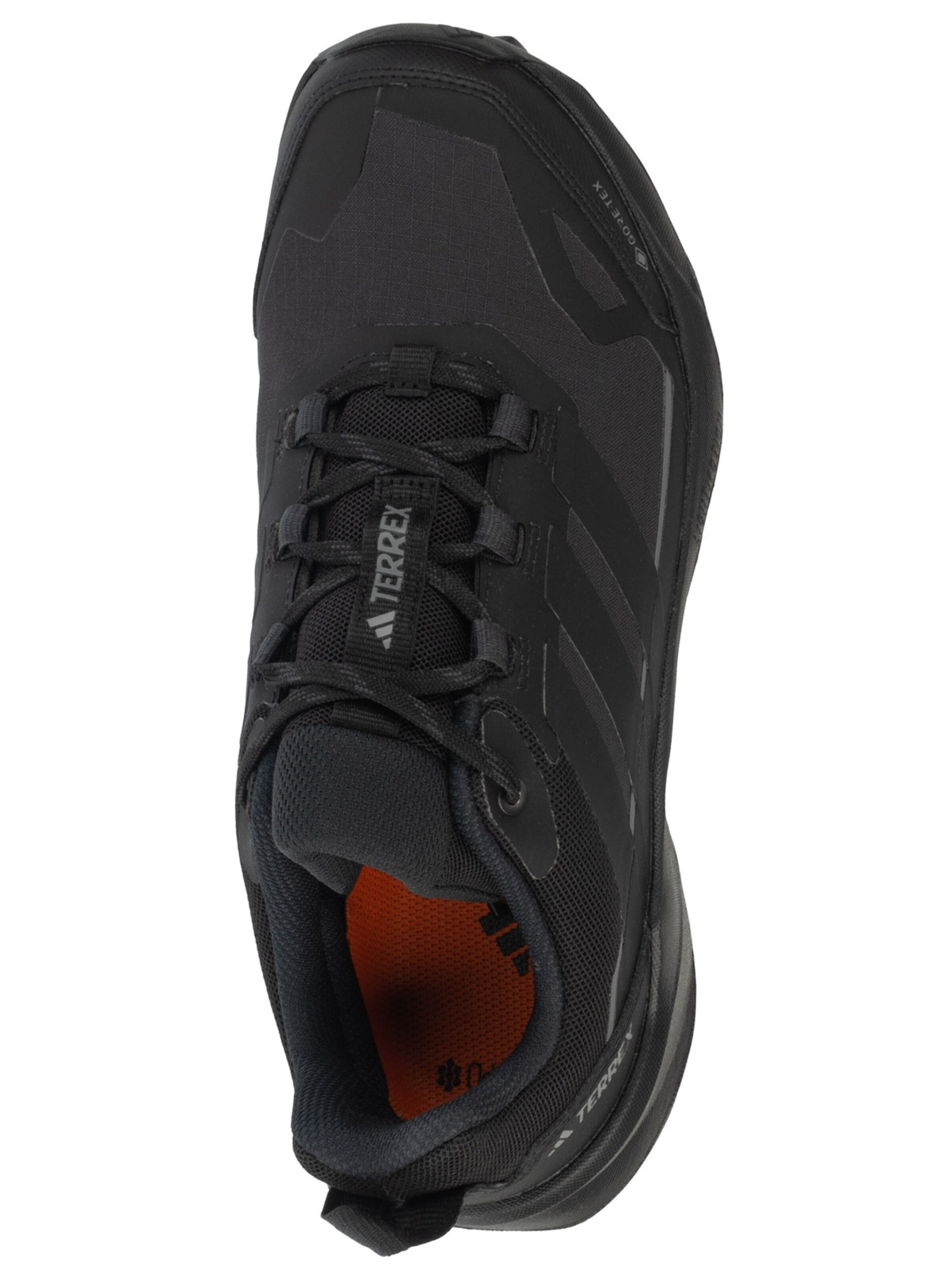 ADIDAS PERFORMANCE Lage schoen 'Terrex Skychaser AX5 GTX' in Zwart