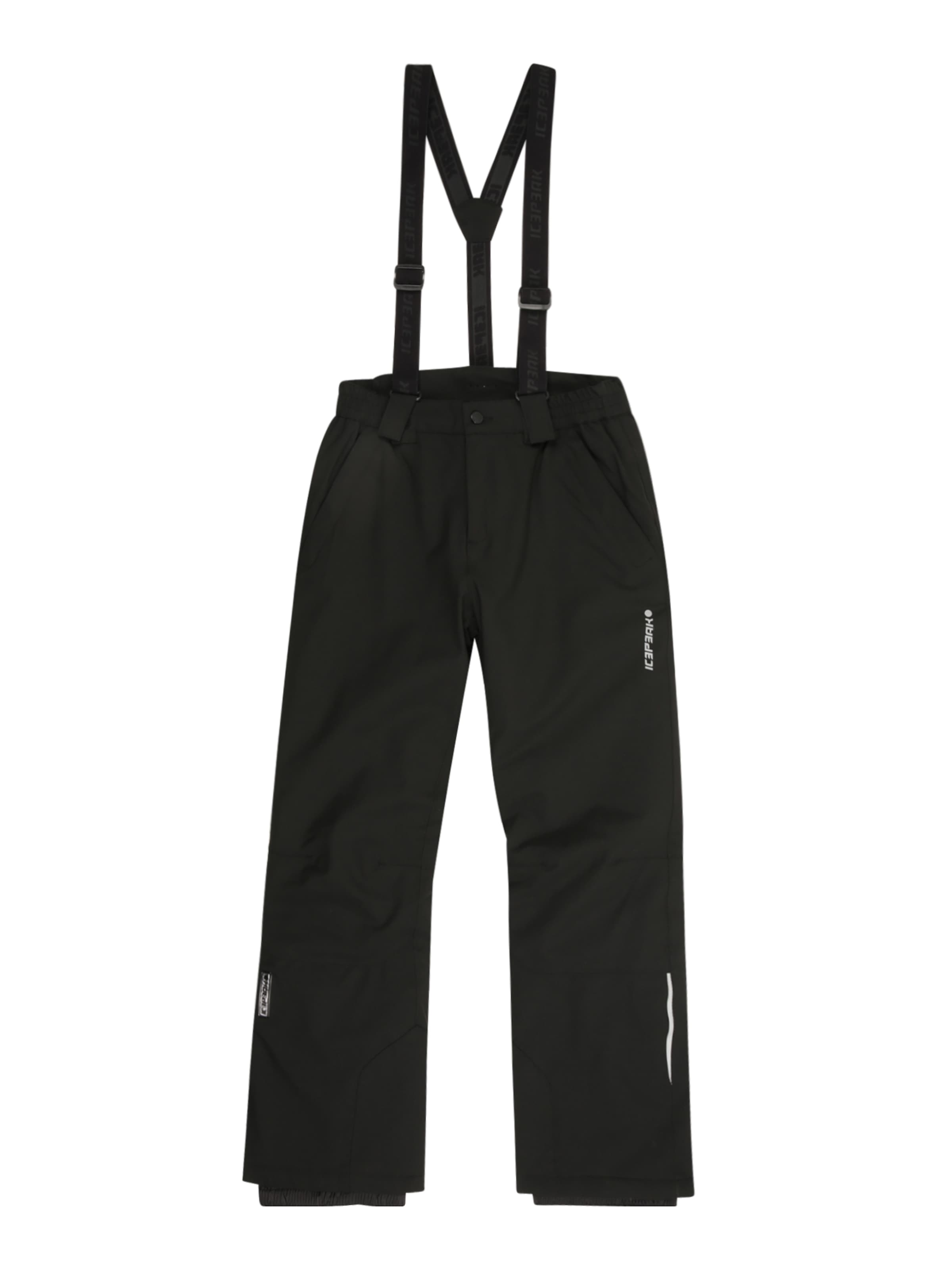 ICEPEAK Обычный Спортивные штаны в Черный: спереди