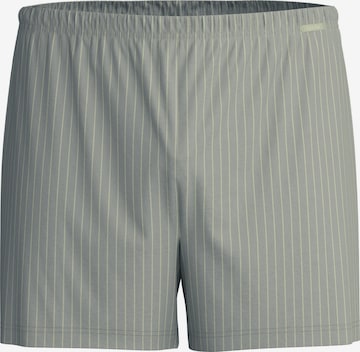 CALIDA Boxer shorts 'Prints' in Grey: front
