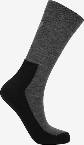 Whistler Socks 'Yang' in Grey