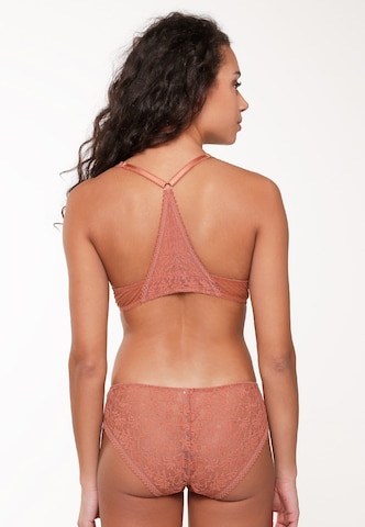 Push-up Soutien-gorge LingaDore en marron