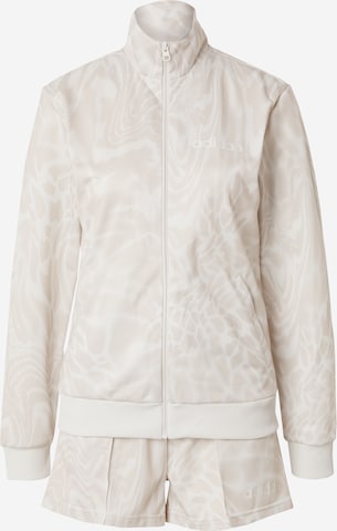 Survêtement ADIDAS SPORTSWEAR en gris : devant