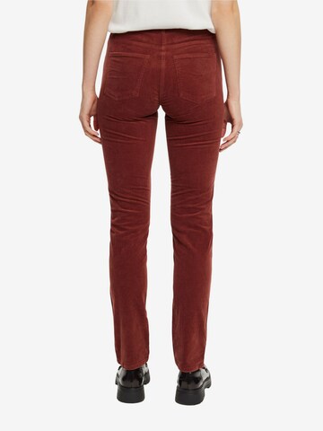 ESPRIT Slim fit Pants in Brown