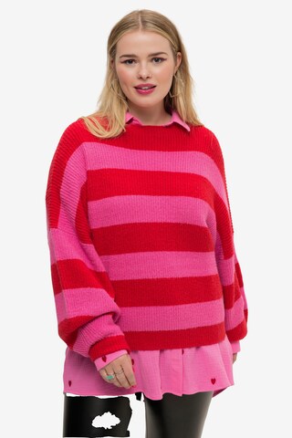 Studio Untold Sweater in Pink: front