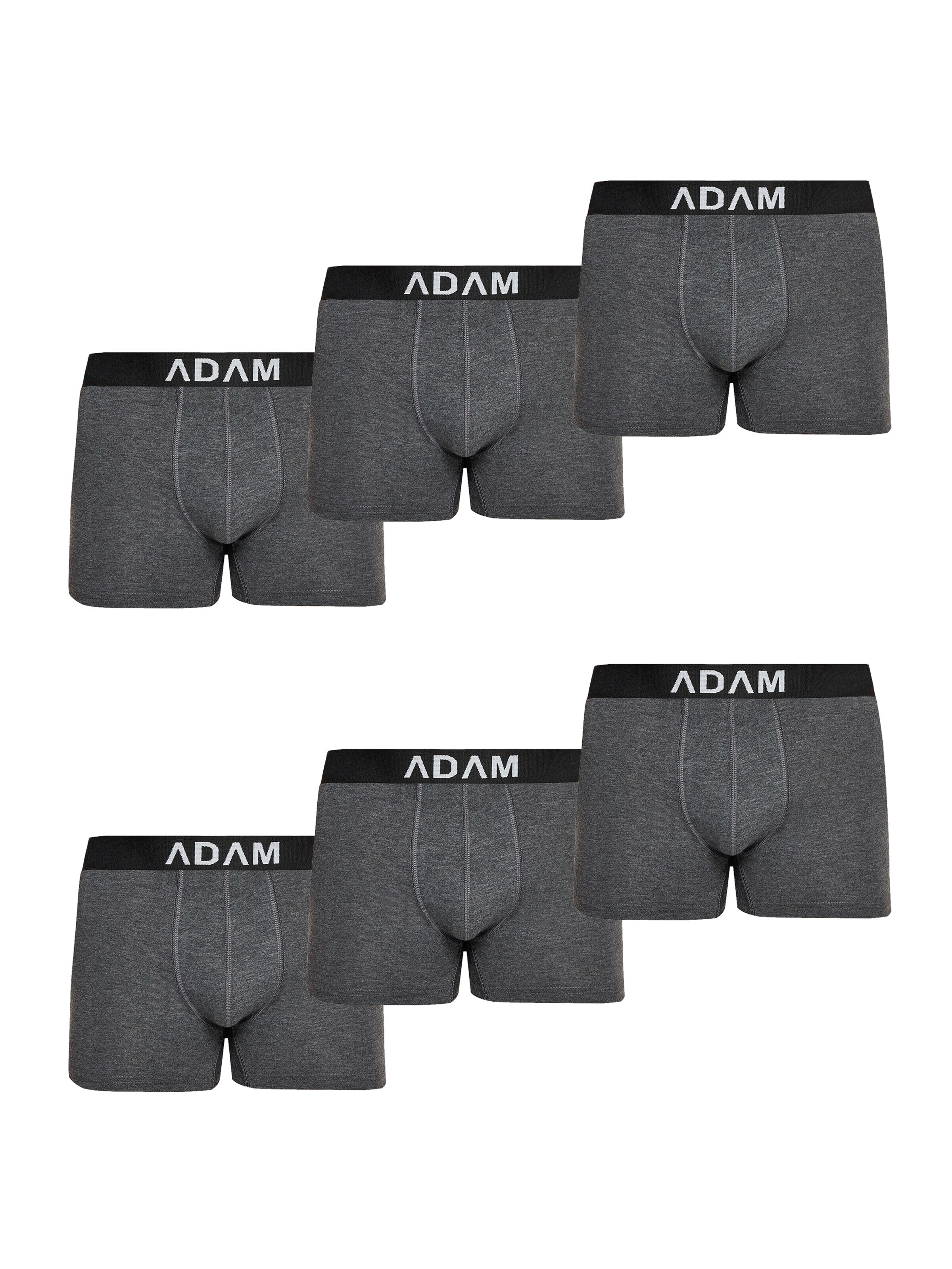 Adam Boxershorts '6er Pack'‌‌‌‌‌ in Grau: Vorderseite