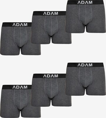 Adam Boxershorts '6er Pack' in Grau: Vorderseite