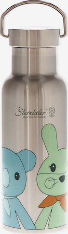 STERNTALER Drinking Bottle 'Kinni+Kala' in Silver: front