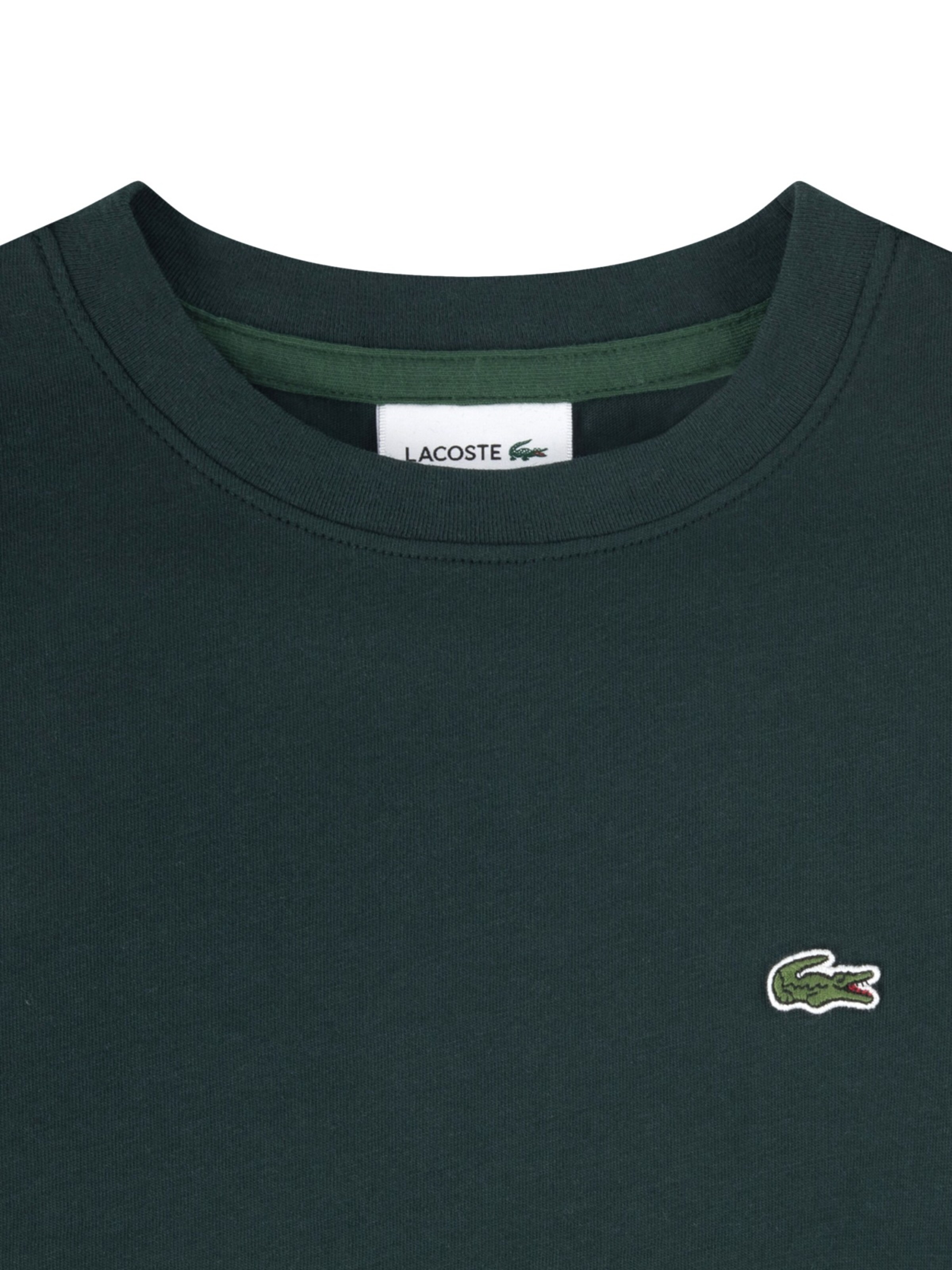 LACOSTE Shirt in Green