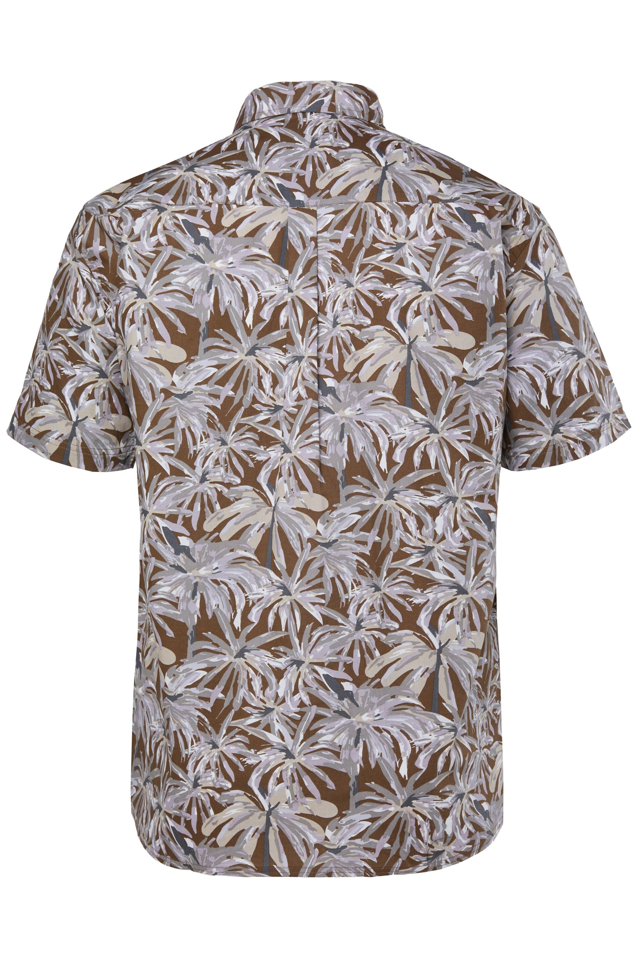 Men Plus Regular fit Overhemd in Bruin