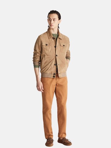 Peuterey Tussenjas 'PEUTEREY GIUBBINO DESTINY SUEDE 02 GIUBBINO' in Bruin