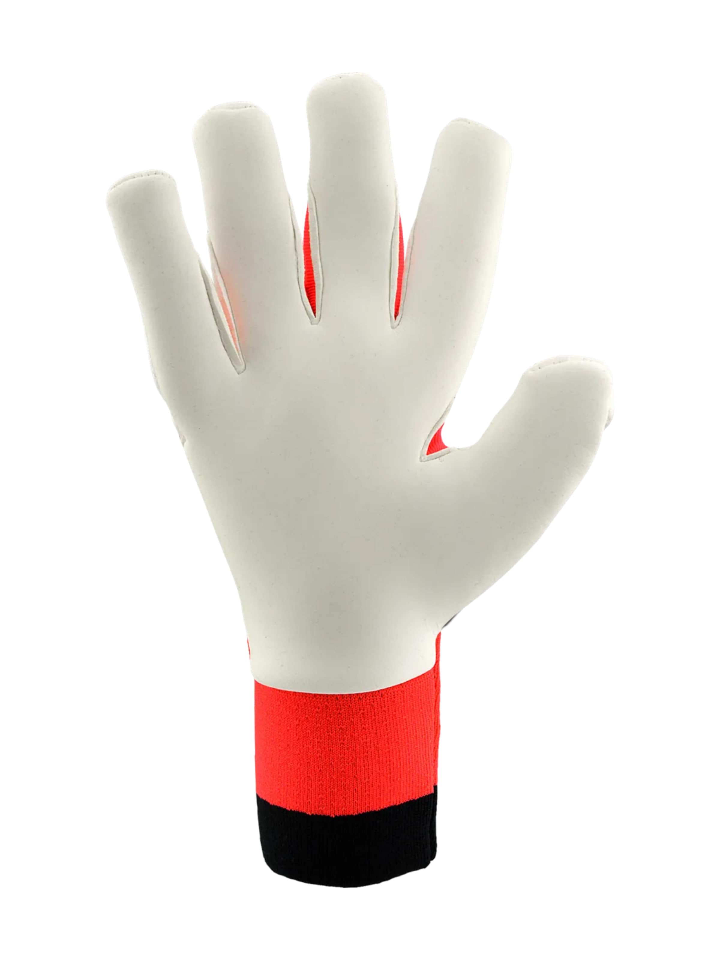 ADIDAS PERFORMANCE Sporthandschuhe 'Predator Pro Hybrid Born for Goals'‌‌‌‌‌‌‌ in Weiß