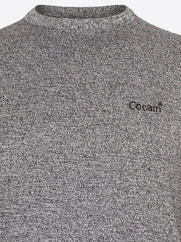 Cocain Underwear Sweater in Grey