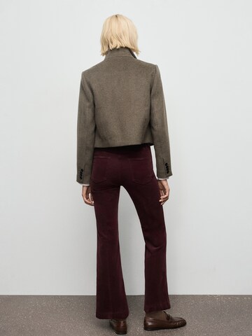 MANGO Flared Jeans in Brown