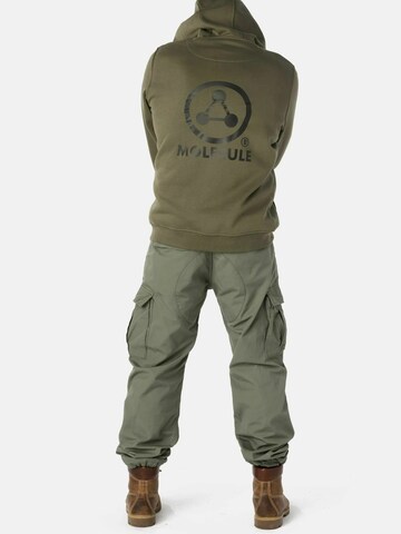 Molecule Sweatshirt i grøn