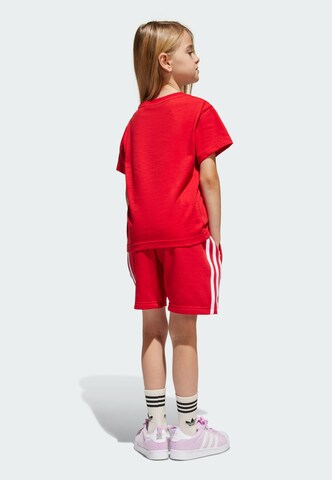 ADIDAS ORIGINALS Komplet 'Adicolor' | rdeča barva