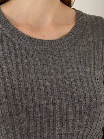 Hiccup Kleid in Grau