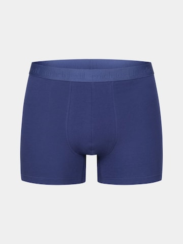 Boxers 'Casual Cotton' Erlich Textil en bleu