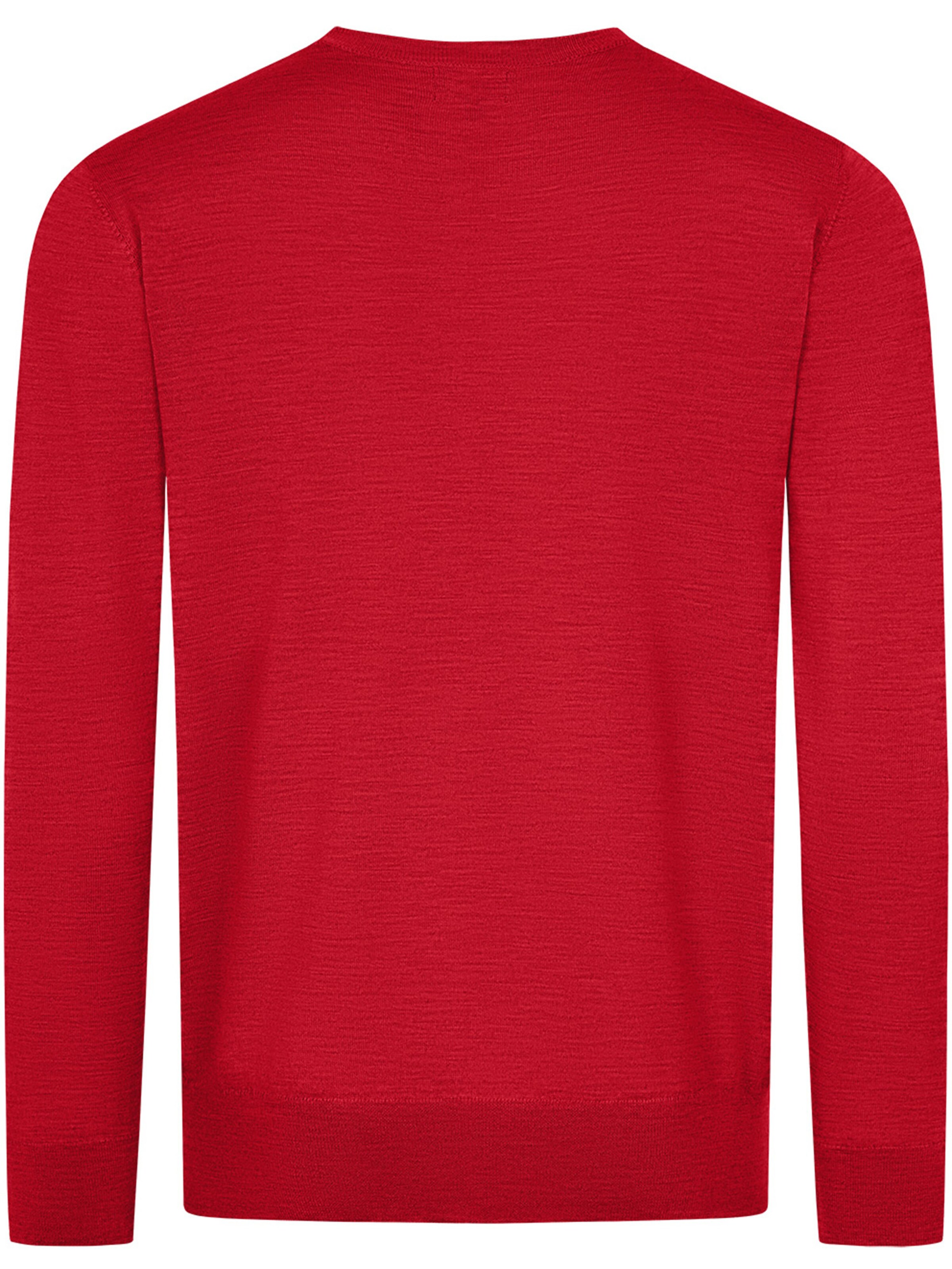 GIESSWEIN Trui in Rood