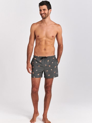 Shiwi Board Shorts in Green