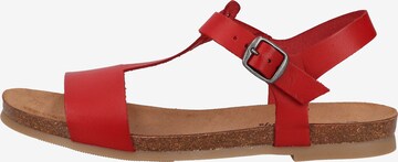 Sandales COSMOS COMFORT en rouge : devant