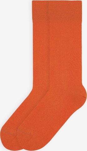 Von Jungfeld Socken 'Signature Innenbund' in Orange: Vorderseite