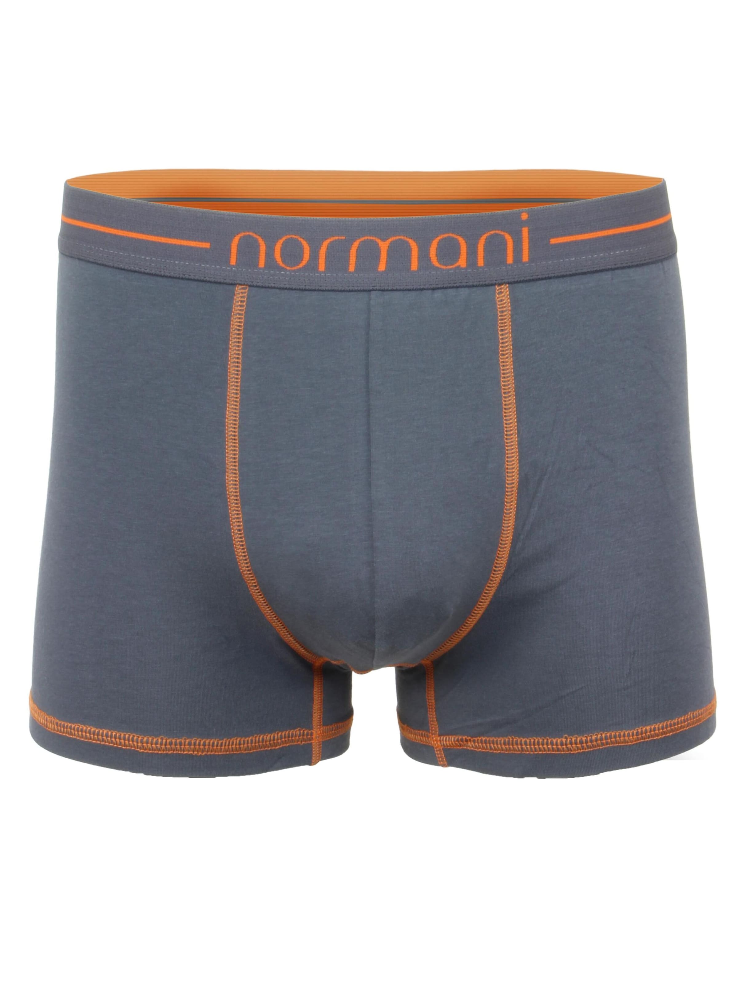 Boxers normani en gris : devant