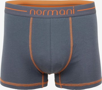 normani Boxershorts in Grau: Vorderseite
