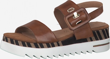 MARCO TOZZI by GUIDO MARIA KRETSCHMER Sandals in Brown: front