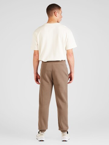 HOLLISTER Tapered Pants in Brown