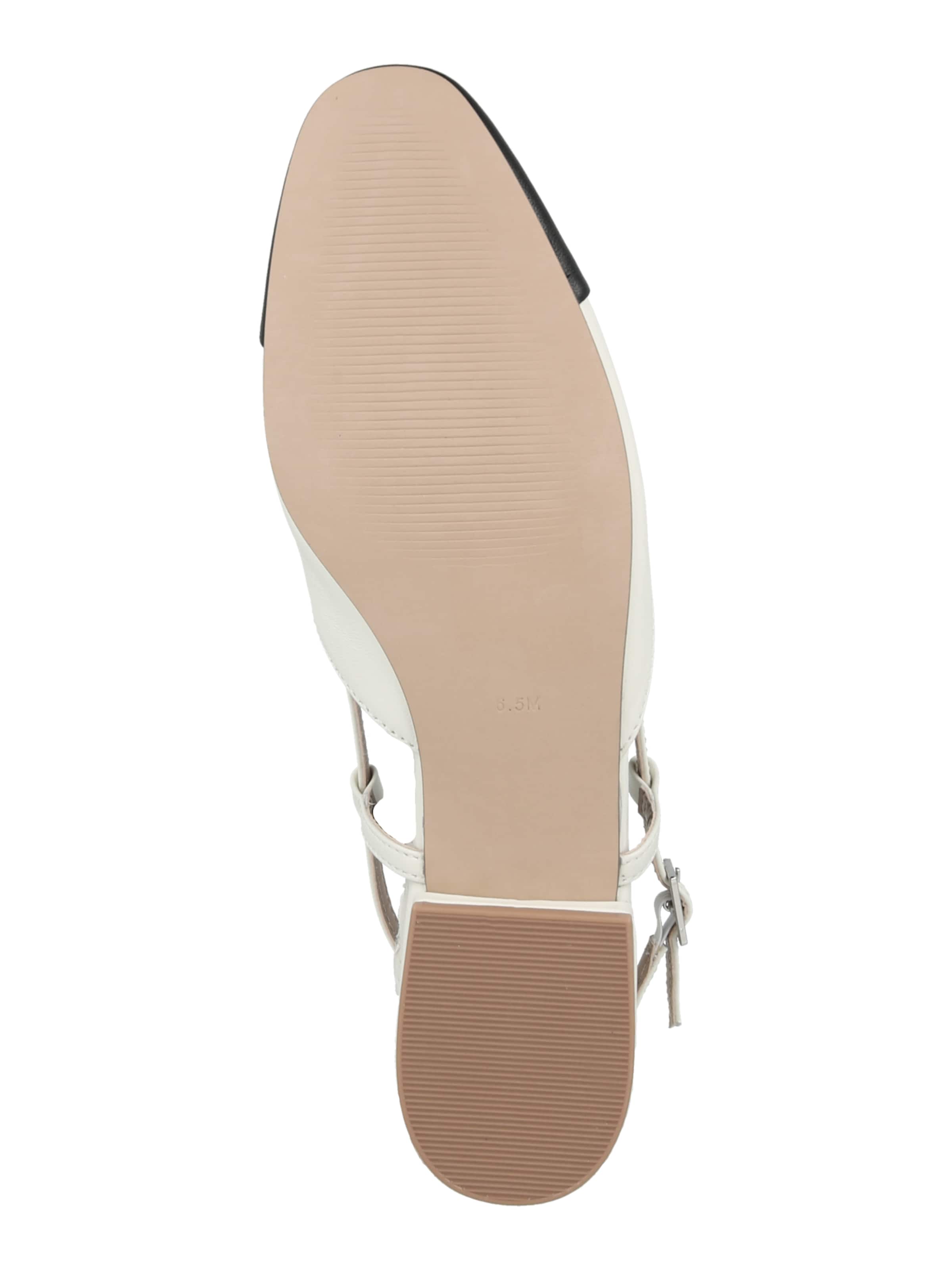 STEVE MADDEN Μπαλαρίνα 'BELINDA' σε λευκό