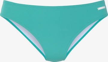 Elbsand Bikinihose in Grün: Vorderseite