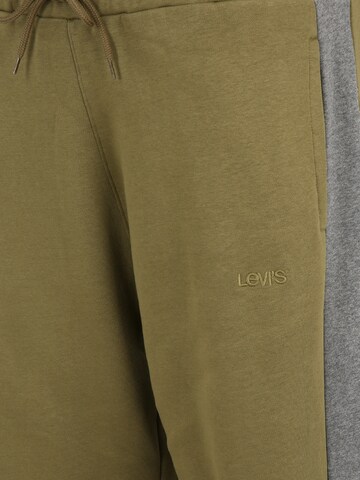 Levi's® Big & Tall - Tapered Calças 'Big Varsity Jogger' em verde