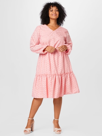 Dorothy Perkins Curve Dress in Pink: front