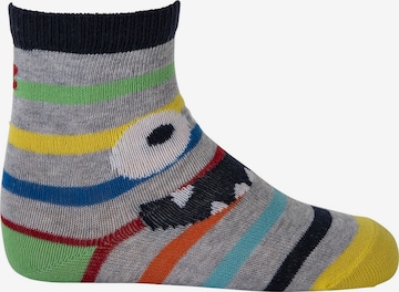 Cucamelon Socken in Mischfarben