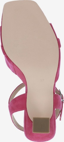 CAPRICE Sandals in Pink