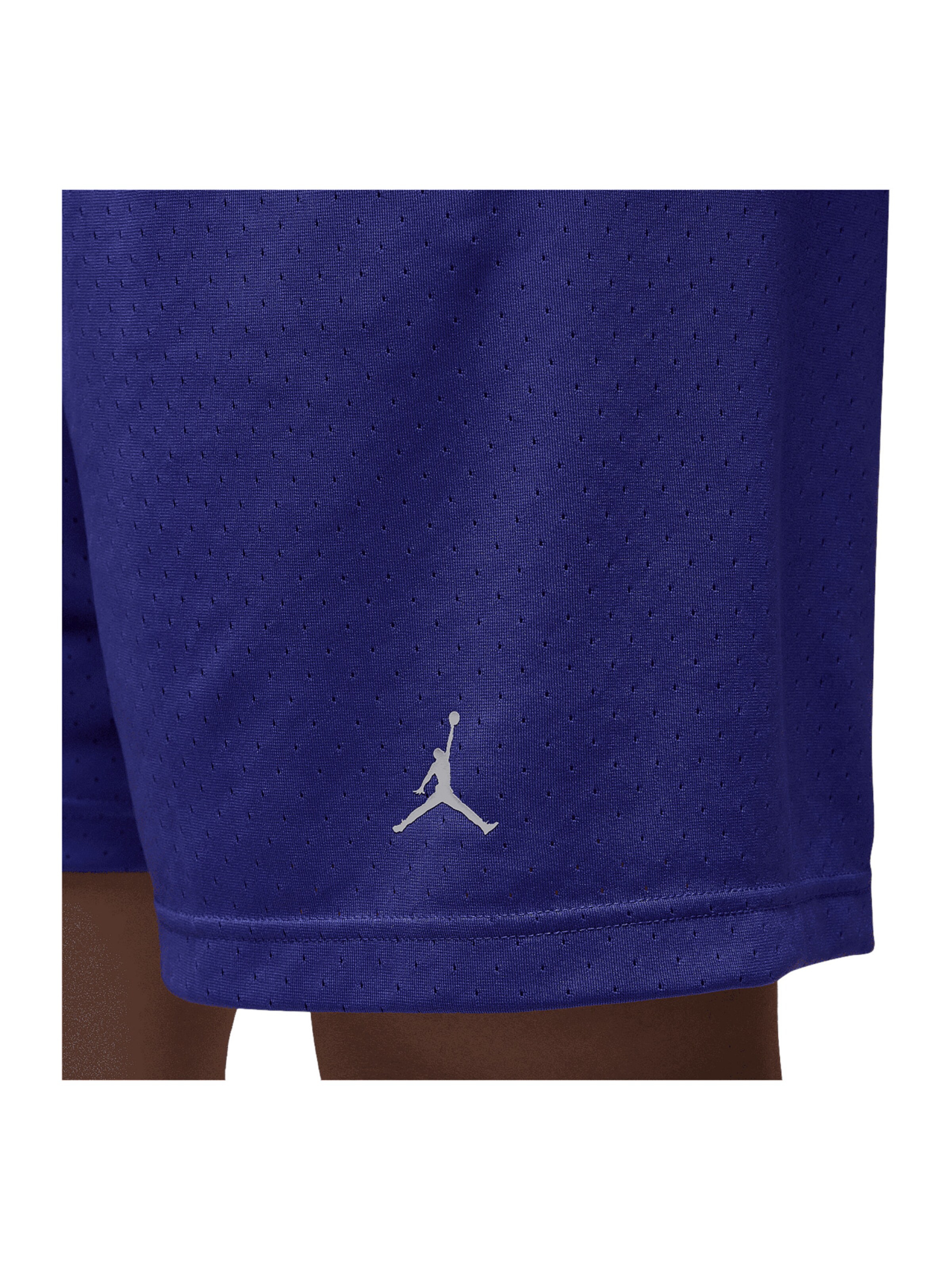 Jordan Regular Shorts in Lila