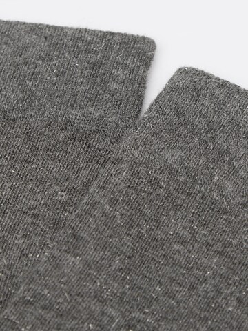 CALZEDONIA Kniestrümpfe in Schwarz