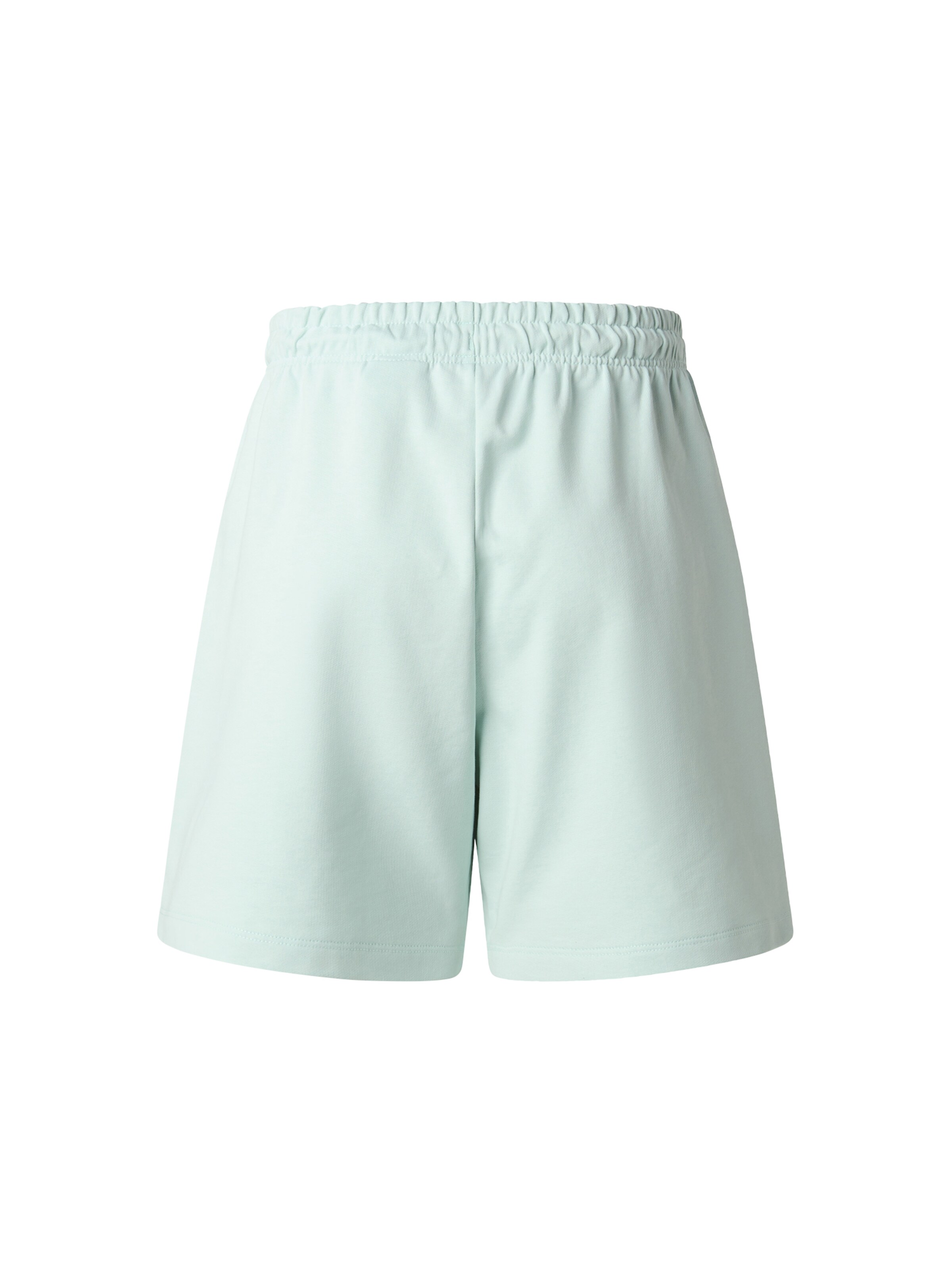 THE NORTH FACE Ohlapna forma Hlače | modra barva