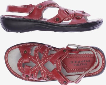 HUSH PUPPIES Sandals & High-Heeled Sandals in 37 in Red: front